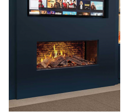Solution TrueFlame100 3DX